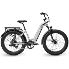 VELOWAVE RANGER STEP-THRU EBIKE (rear rack included)